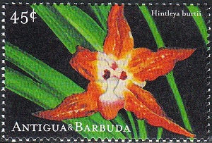 Antigua 2001