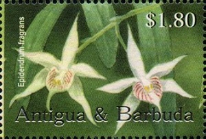 Antigua 2003