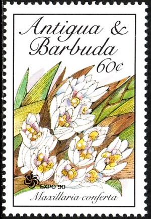 Антигуа и Барбуда - Antigua and Barbuda (1990)