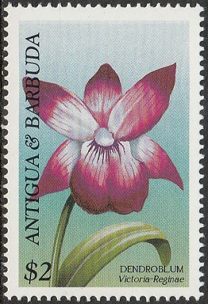 Antigua 1997