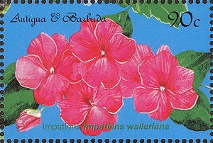 Антигуа и Барбуда - Antigua and Barbuda (I.walleriana - 1999)