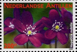 Antilles 2009