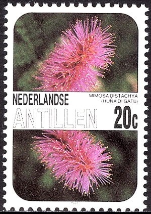 Antilles 1985