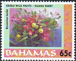 Bahamas 2001