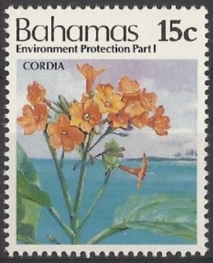 Bahamas 1993