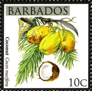 Barbados 2011