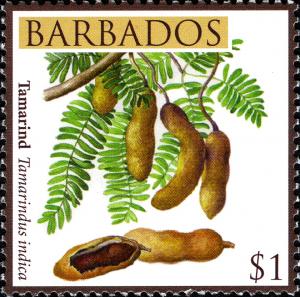 Barbados 2011