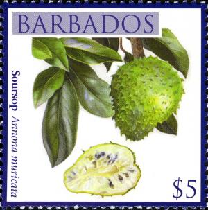 Барбадос - Barbados 2011
