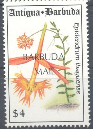 Barbuda 1994