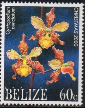 Белиз - Belize (2000)