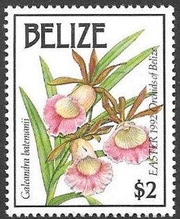 Белиз - Belize (G.batemanii - 1992) 