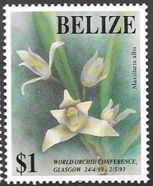Belize 1993