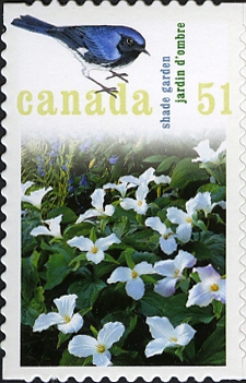 Канада - Canada 2006