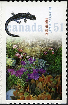 Канада - Canada (Sedum sp. - 2006)