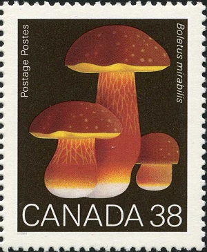 Канада - Canada (1989)
