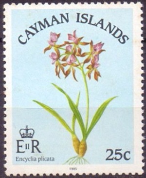 Кайман о-ва - Cayman Islands (1985)