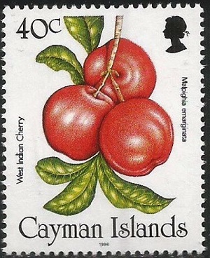 Каймановы о-ва - Cayman Islands (1996)