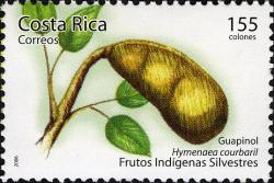 Коста-Рика - Costa Rica (2006)