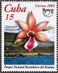 Куба - Cuba (T.malpighianum - 2001)