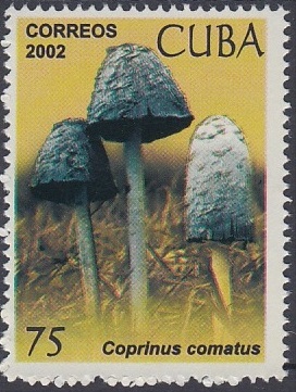 Cuba 2002