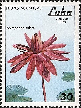 Куба - Cuba (1979)