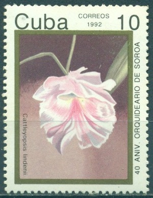 Куба - Cuba 1992