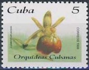 Cuba 1996