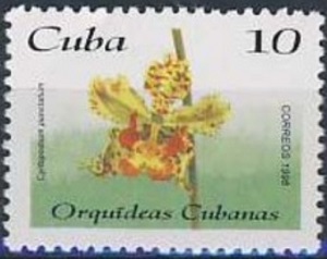 Куба - Cuba (1996)