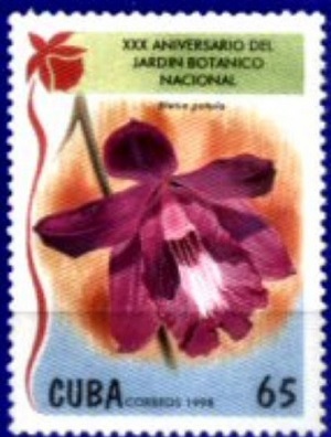 Куба - Cuba (1998)