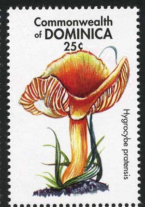 Dominica 2001