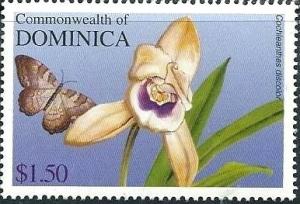 Dominica 2004