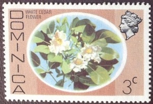 Dominica 1975