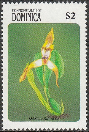 Dominica 1989