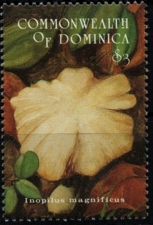 Dominica 1994