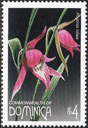Dominica 1997