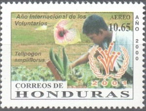 Honduras 2000