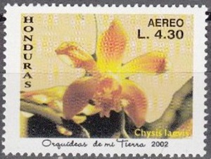 Honduras 2002