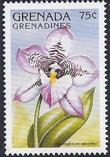 Гренада-Гренадины - Grenada - Grenadines (O.cervantesii - 1997)