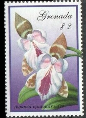 Grenada 2001