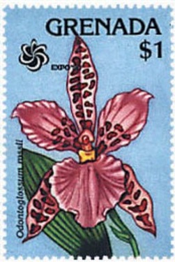 Гренада - Grenada (1990)