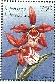 Grenadines 1996