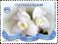 Guatemala 2011