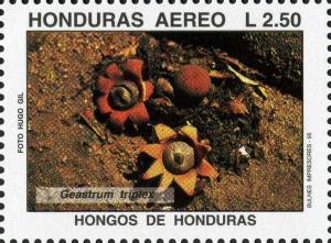 Honduras 1995