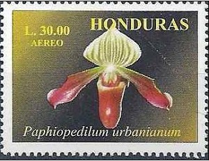 Honduras 1999