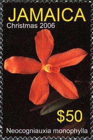 Jamaica 2006