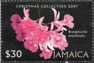 Jamaica 2007