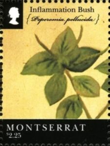 Montserrat 2011