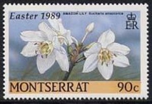 Монтсеррат - Montserrat (1988)