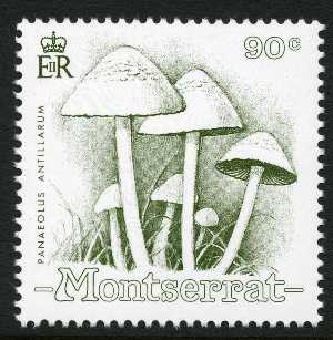 Montserrat 1991
