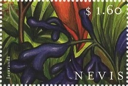 Nevis 2000